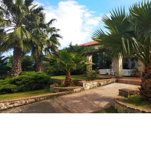 Naturstein-Mediterranhaus mit Gartenblick