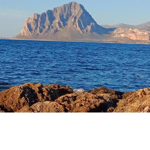 Nausica