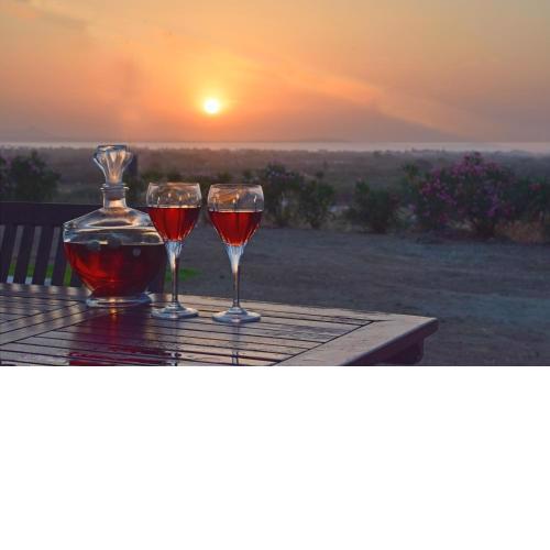 Naxian vacation with sea view