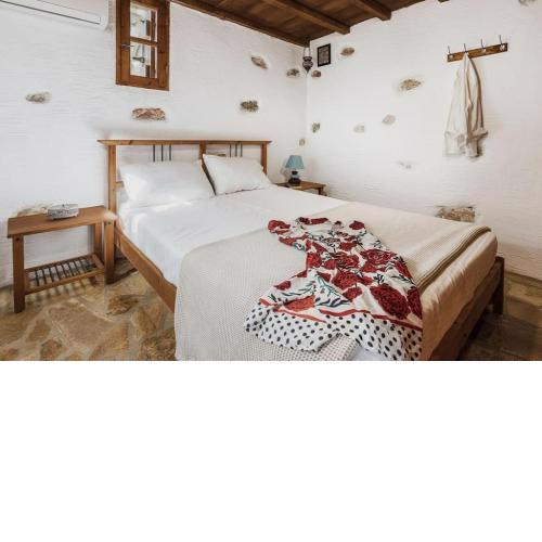 Naxos Alyko Traditional Vacation House ''Mitatos''