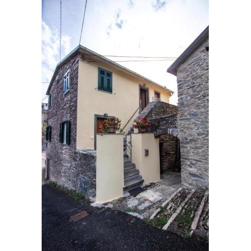 Near - Cinque Terre Holiday Apartment
