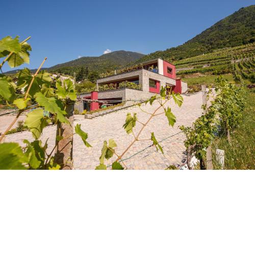 Nebbiolo Wine B&B