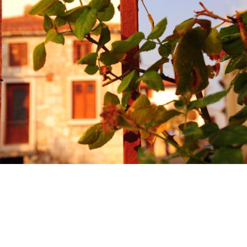 Nebojsega b&b