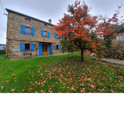 Nedo`s House
