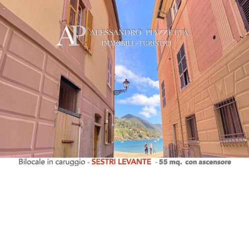 Nel CORSO tra le BAIE
