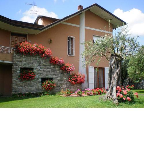 Nel Giardino Degli Ulivi