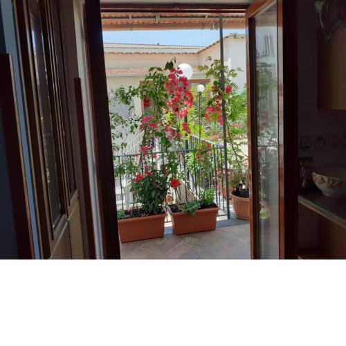 Nel Sole