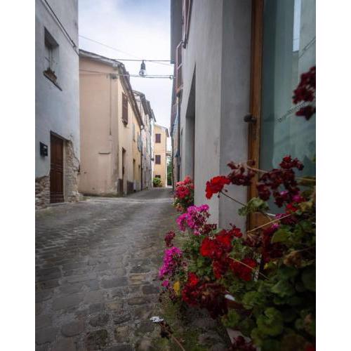 Nel tranquillo centro d'Isola