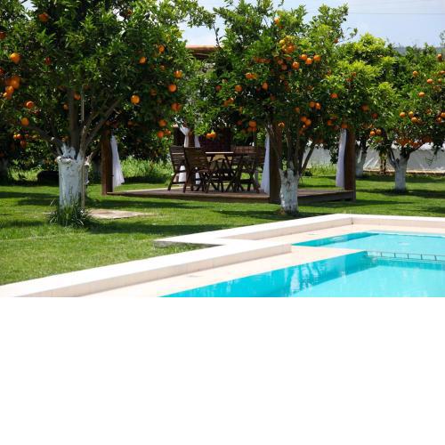 Neriana Villa - Garden Paradise