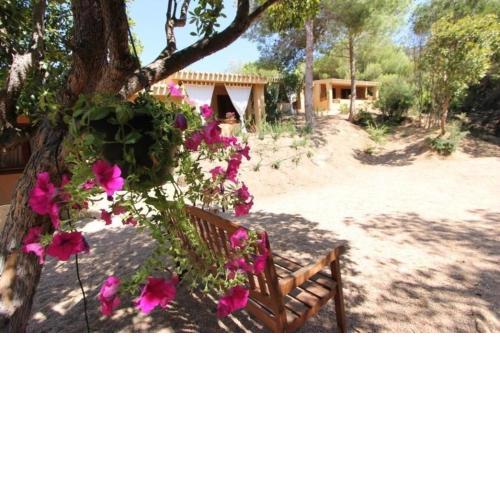 Nette Wohnung in Costa Paradiso mit Grill und Terrasse