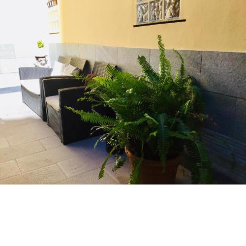 New Hostel Florence