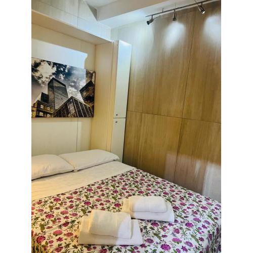 New House (Museo centro storico)