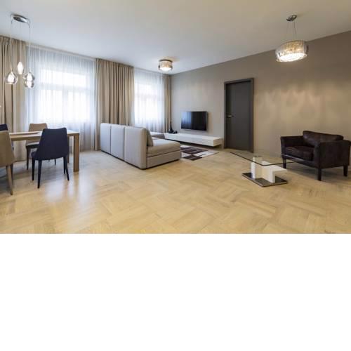 NEW LUXURY APARTMENT in the center of Prague