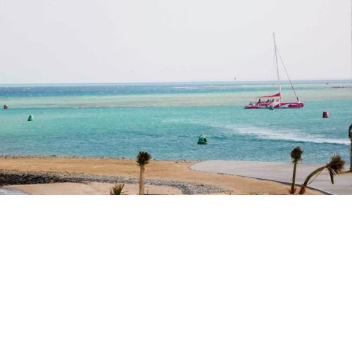 New Marina MP 37