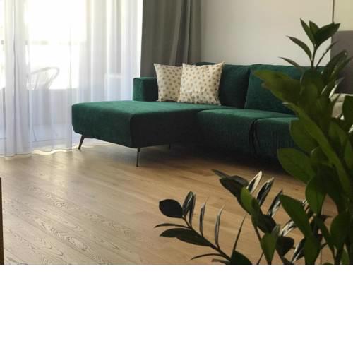 New Modern Urban Apartment