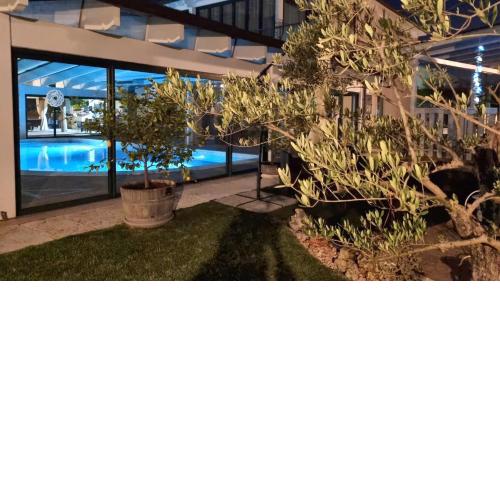 NEW! Suite Apartment