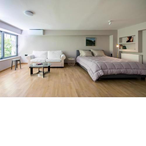Newly Cosy Renovated Apartment Downtown