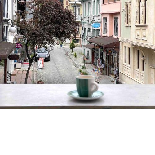 Newly Furnished Flat @Sultanahmet @Hagiasophia
