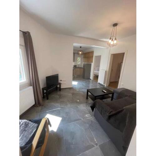 Newly renovated apartment