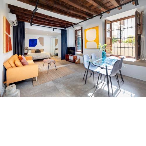 Newly renovated apartments in historical centre of Granada