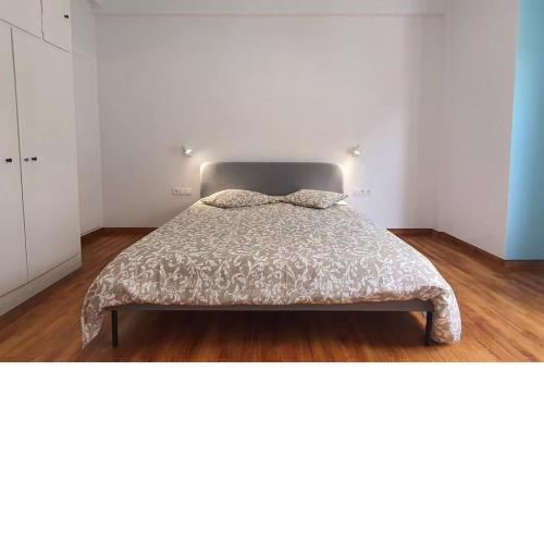 Newly Renovated Entire Apartment At Kypseli Athens