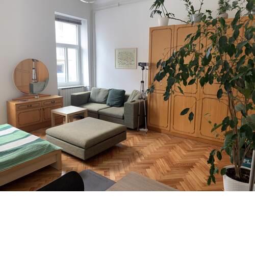 Newly renovated studio near the park and city