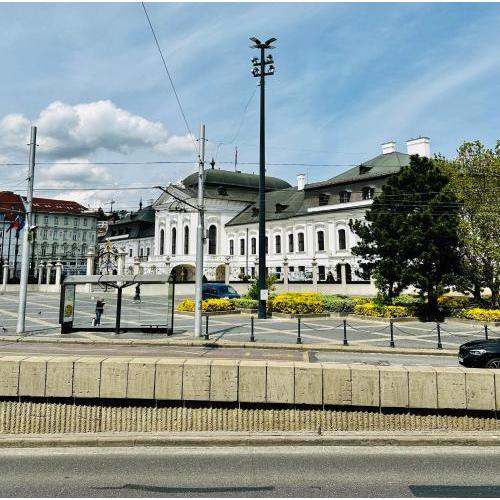 Next to the Presidential Palace