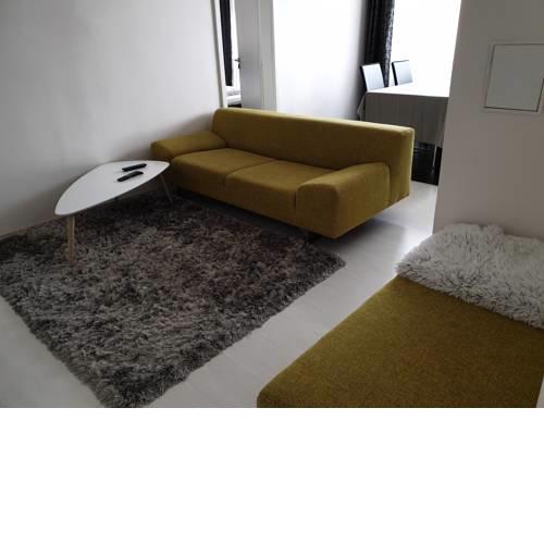 NICE APARTMENT IN CITY