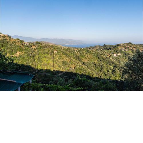 Nice apartment in Pollica with 2 Bedrooms