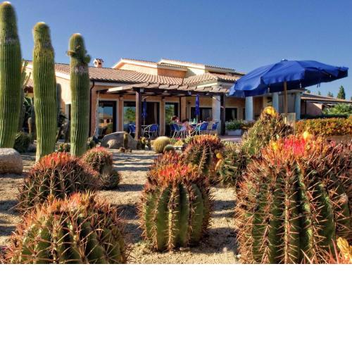 Nice apartment in Sardegna with swimming pool