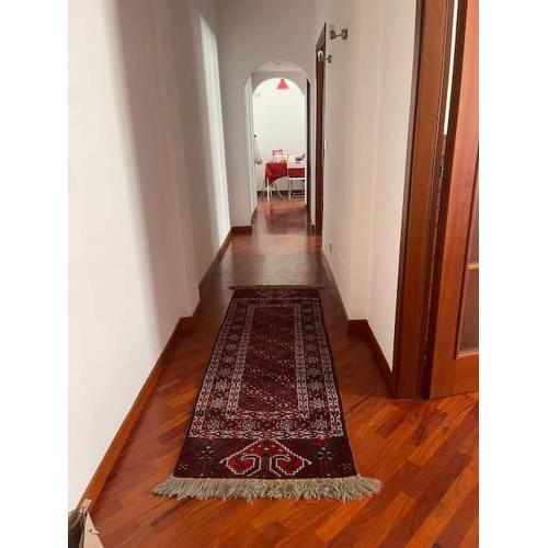 Nice flat in Furio Camillo