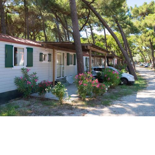 Nicely furnished and detached chalet on the Adriatic coast