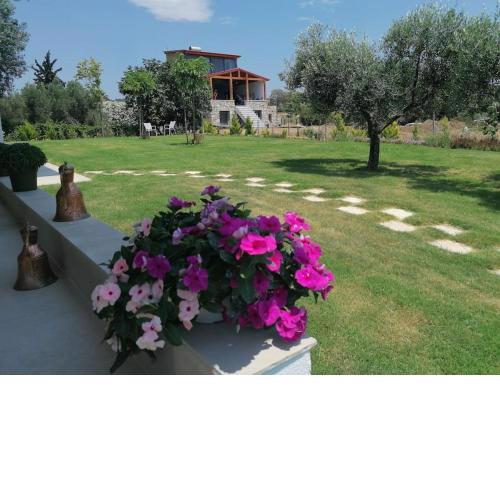 Nicole's Boutique Studio in Nikiti