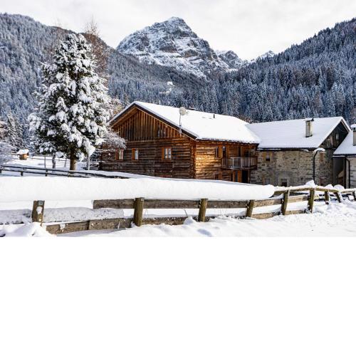 Nido del Brenta