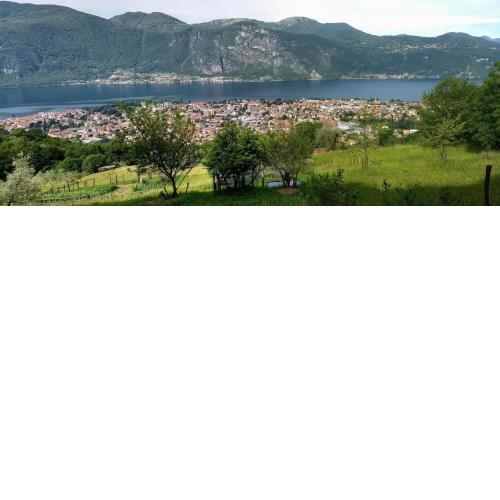 Nido di Rongio