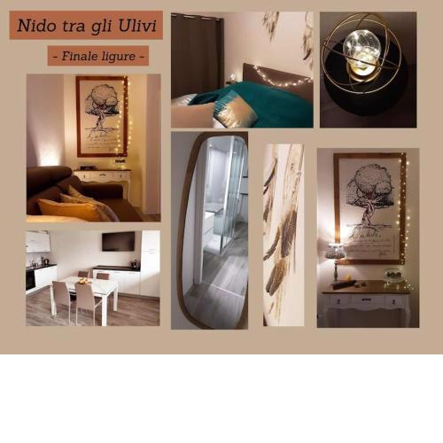 NIDO TRA GLI ULIVI