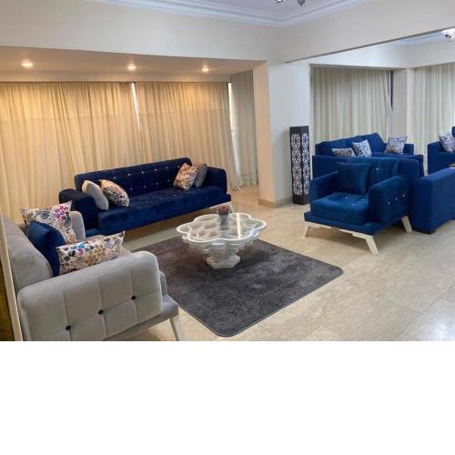 Nile view apartment