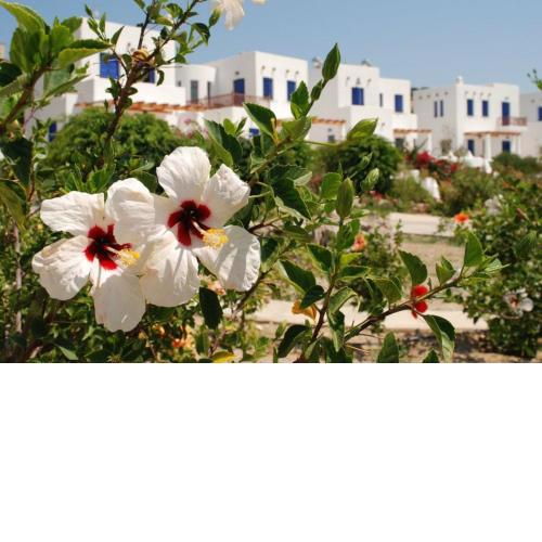 Niriedes Villas