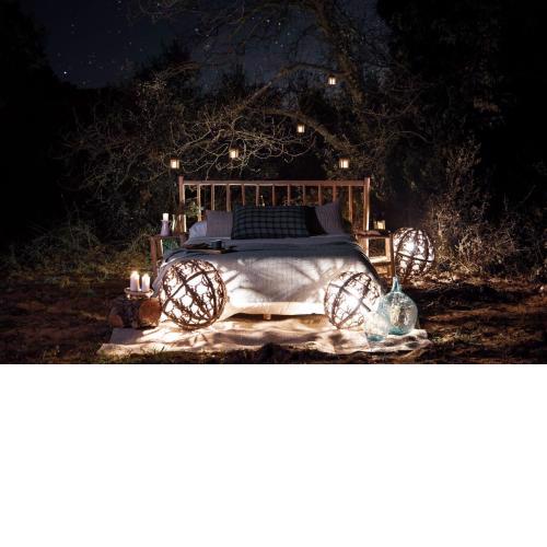Nits de Bosc