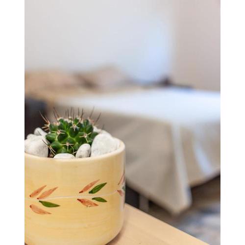 Nopal casa vacanze