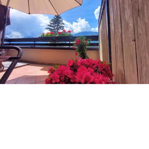 Nora s Home 4 - Panoramic Terrace & Bio Garden