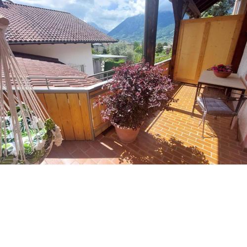 Nora s Home 5 - Panoramic Terrace & Bio Garden