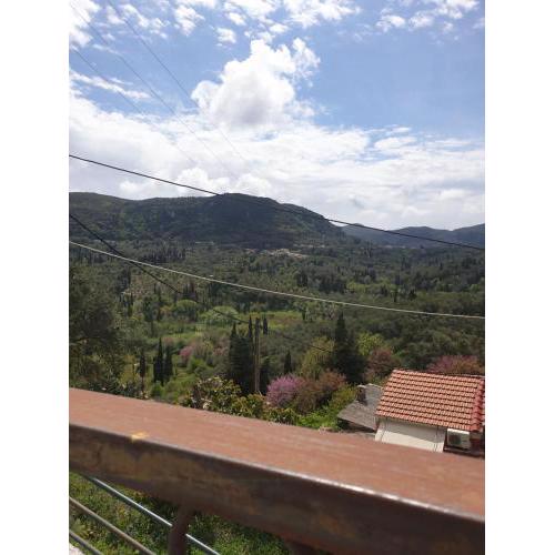 Norina's House
