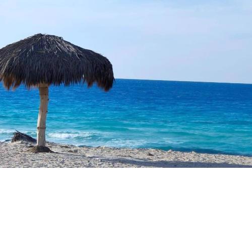 North coast rent Chalet / شاليه للايجار في الساحل