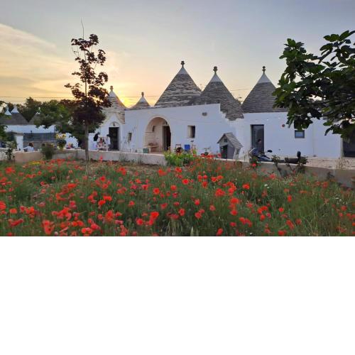 Nostos Trulli