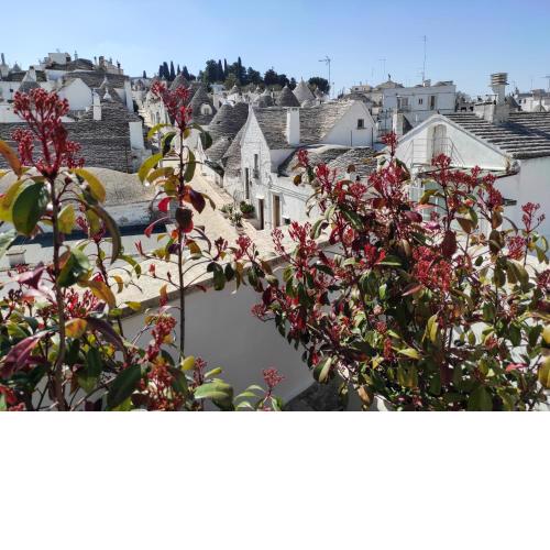 Noù la tua casa in Puglia