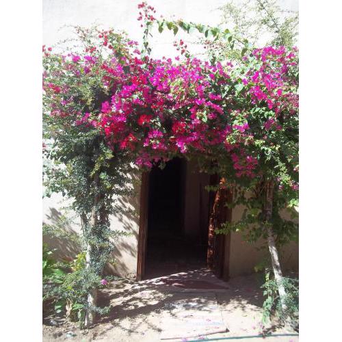 Nour El Gourna