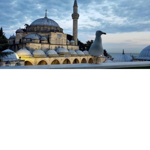 Nur home Abuzer Yegin
