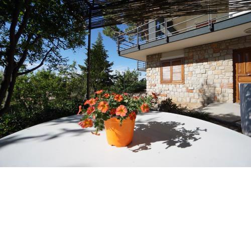 Nut House apartment near the sea in a villa with garden