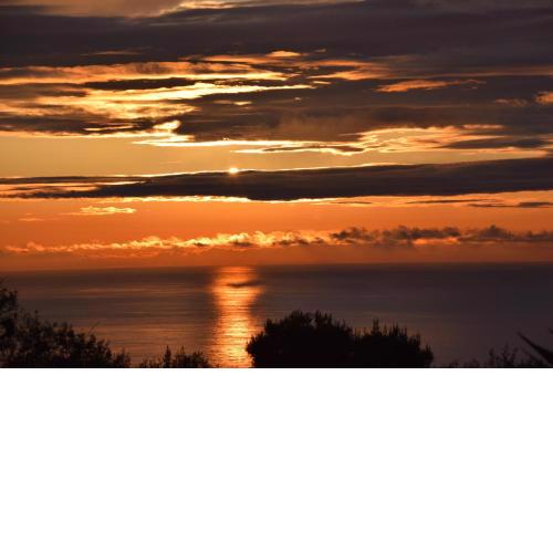 Oasi di Villa Damecuta